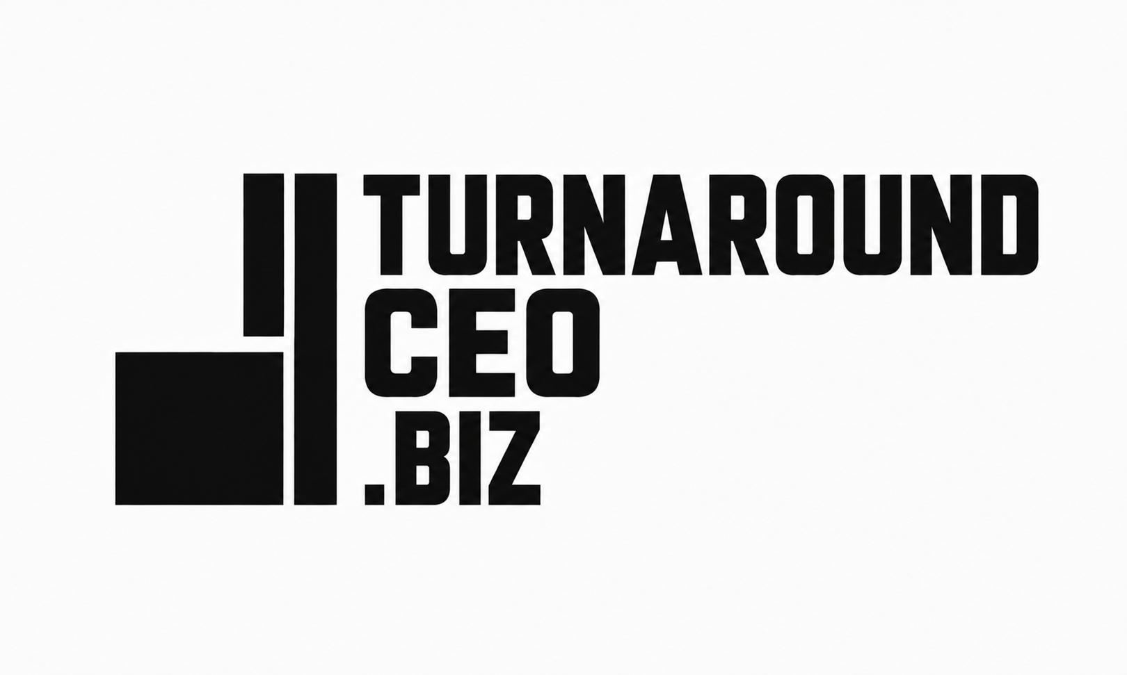 turnaroundceo.biz